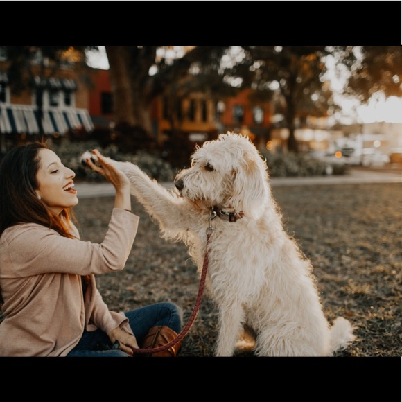 Meet your Posher, Estephanie - Picture 2 of 7